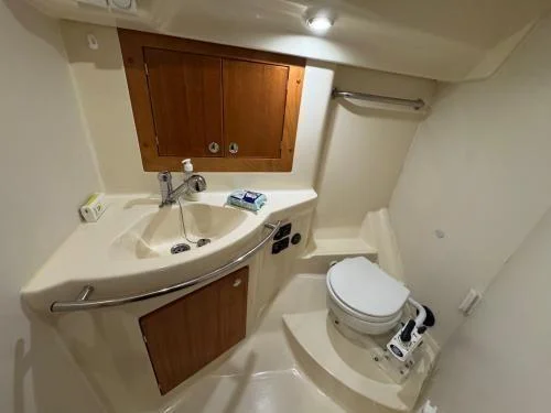 Mawingo / Delphia34 Yacht von Yachtschule Fehmarn